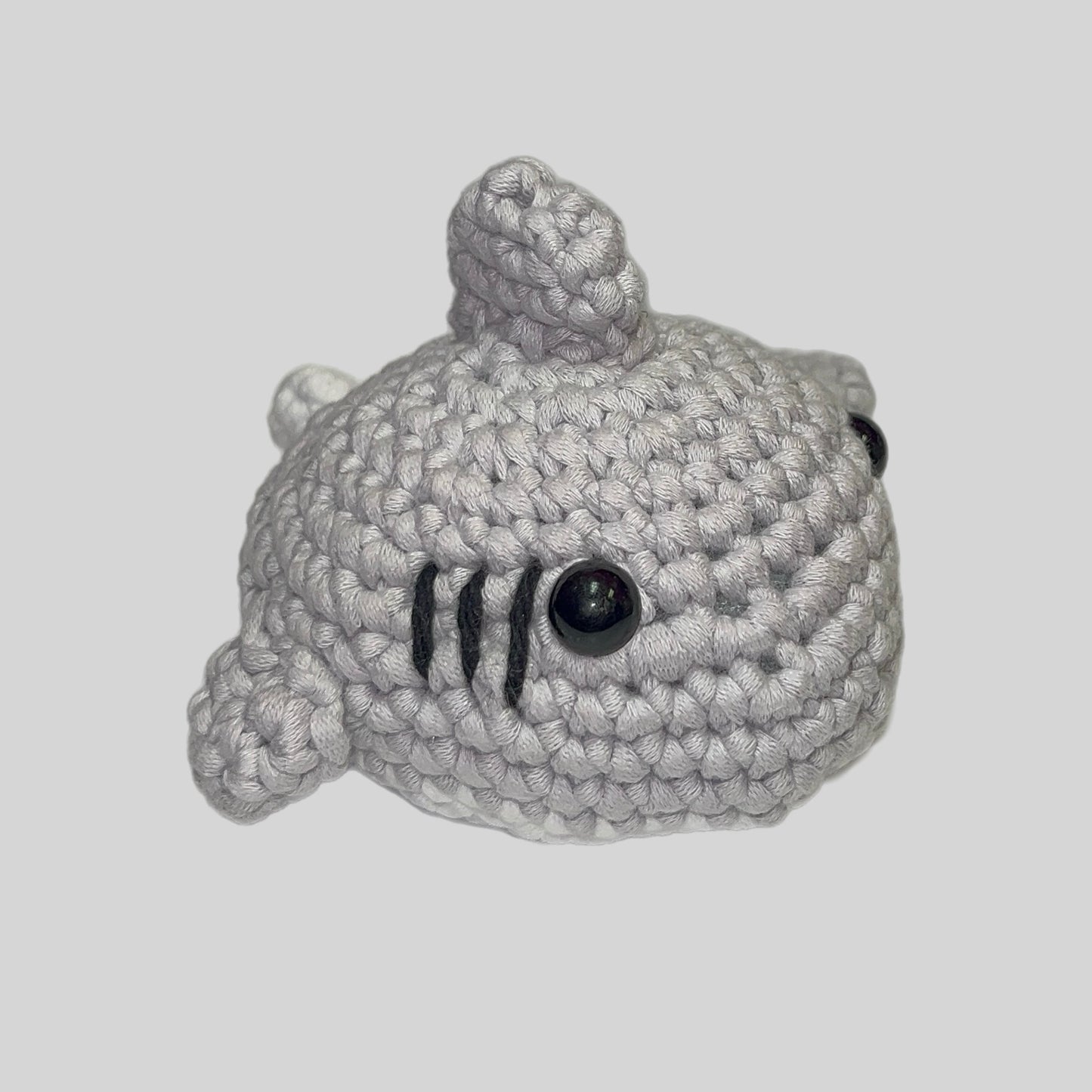 Mini Shark