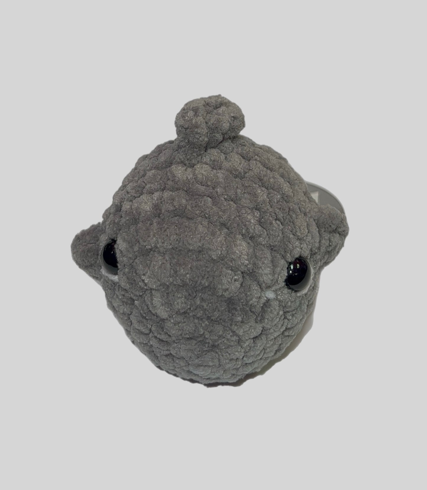 Mini Shark