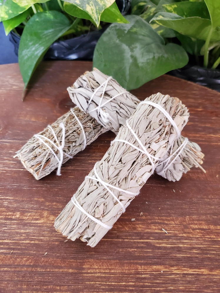 Sustainably Sourced White + Blue Sage Bundle