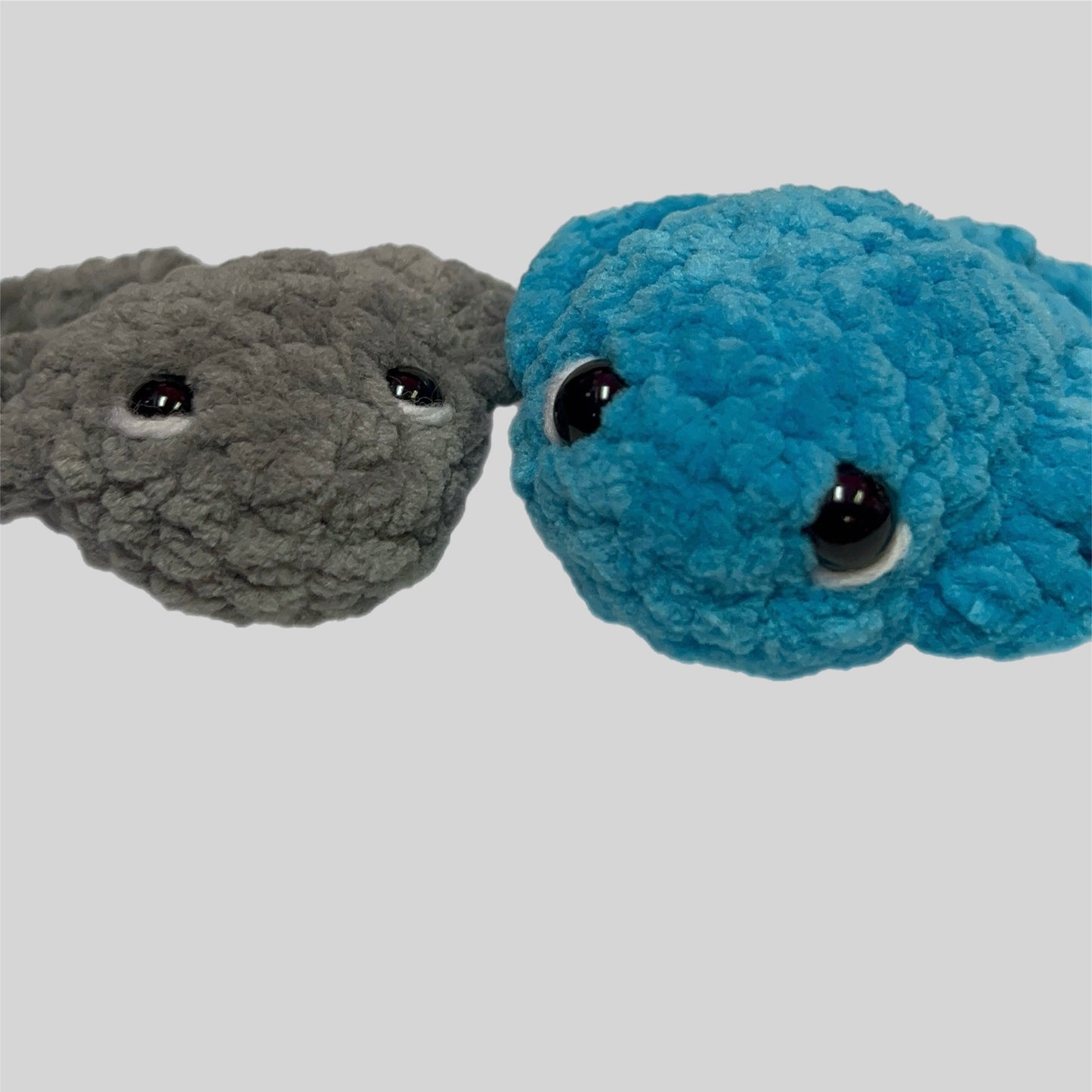 Mini Stingrays