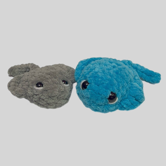 Mini Stingrays