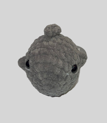 Mini Shark