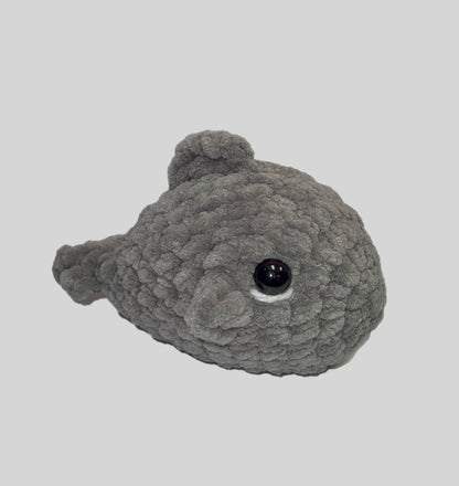 Mini Shark