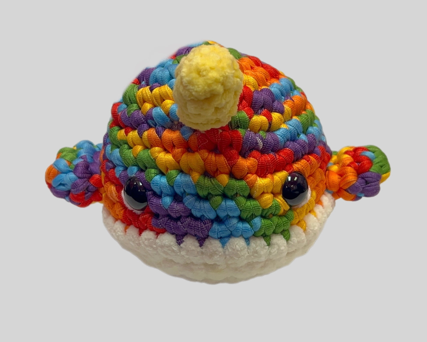Rainbow Narwhal