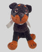 Rottweiler Puppy