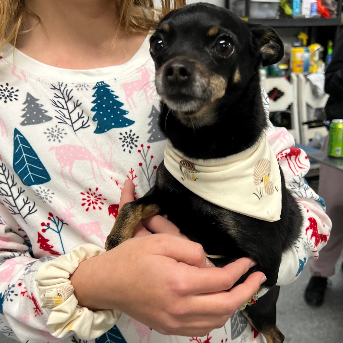 Pet Bandana & Hair Scrunchie | Matching Set | Mommy & Me