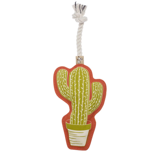 Rope Dog Toy - Cactus