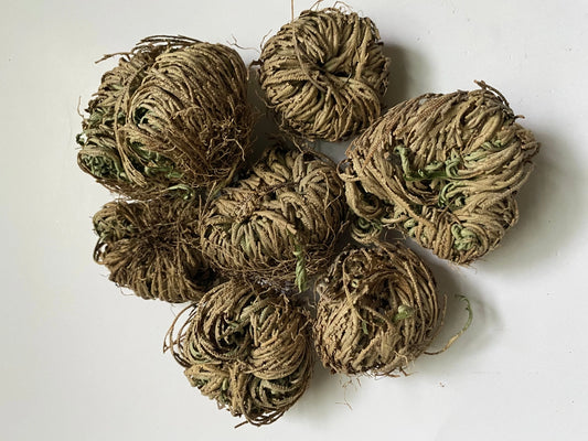 Rose of Jericho | Resurrection Plant